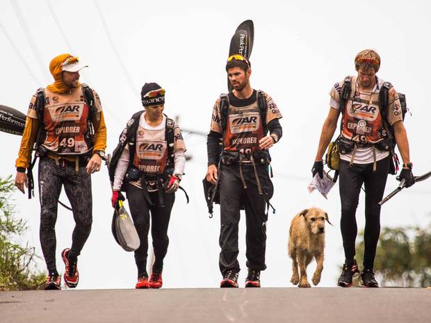 Independent's tweet photo. Stray dog finds new home after being adopted by a marathon runner he followed for miles http://t.co/mpR0fm3qtJ http://t.co/IjqJ1GP4GO