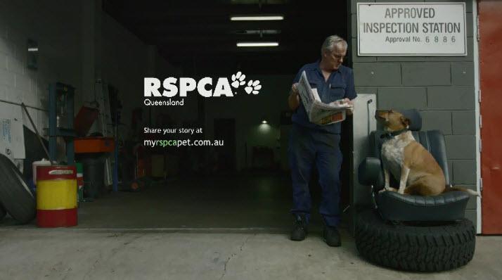 Myrspcapet Hashtag On Twitter