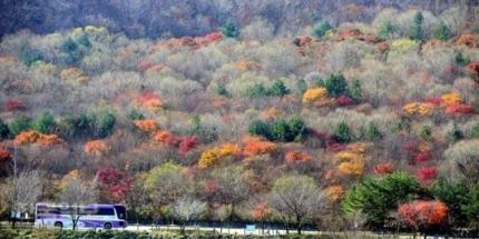 HwaPoong Jung (100%) (@wonslee1) on Twitter photo 