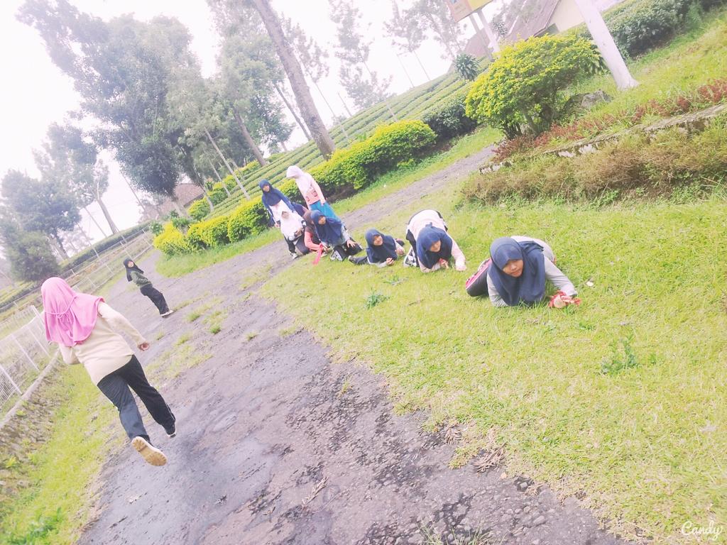 Pask_Int12's tweet image. 