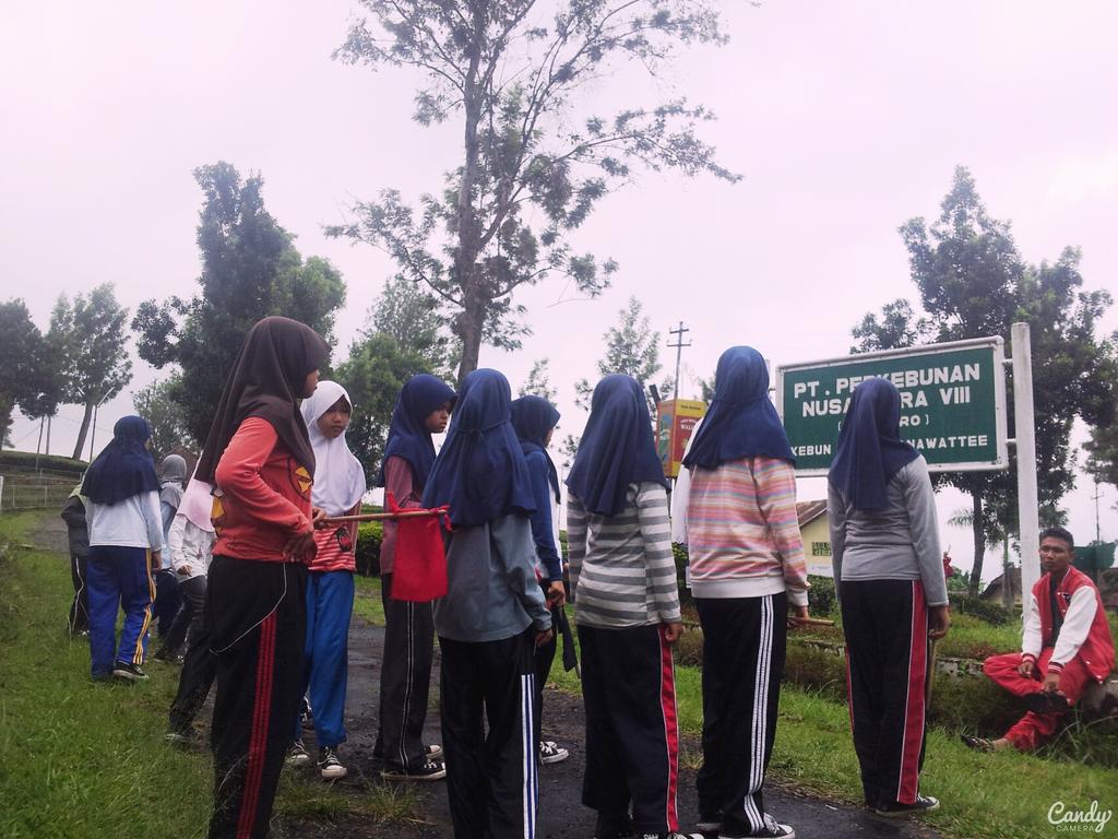 Pask_Int12's tweet image. 