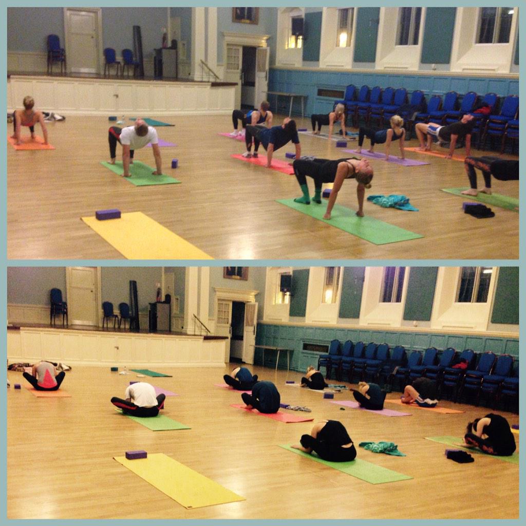 Tortoise &amp; Tabletop Tuesday. Awesome work at the Town Hall last night &amp; <a href="/MagoosHOT/">Magoos</a> this AM #yogaeverydamnday