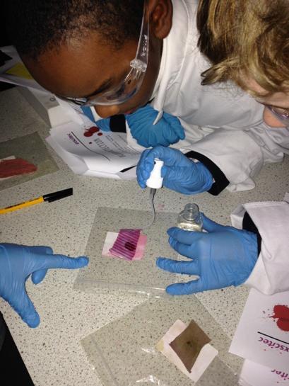ChobhamScienceP's tweet photo. http://t.co/TjEXsZLFFL