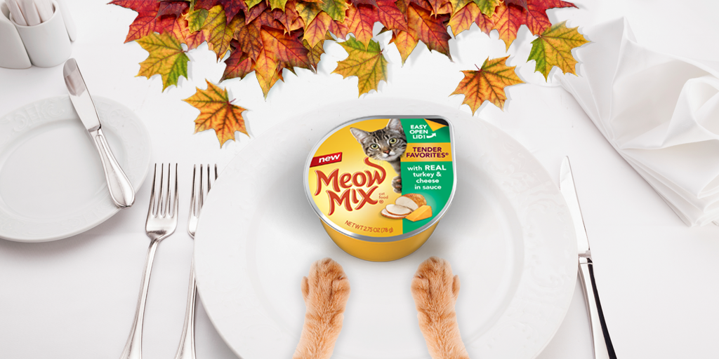 meowmix's tweet image. Thanks to NEW Tender Favorites® w/ Real Turkey &amp;amp; Cheese EVERYONE gets turkey tomorrow! What are you thankful for?