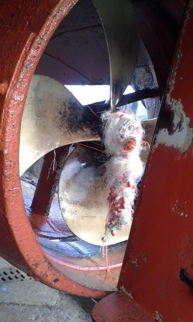 Alja droog.  Rommel in de schroef.