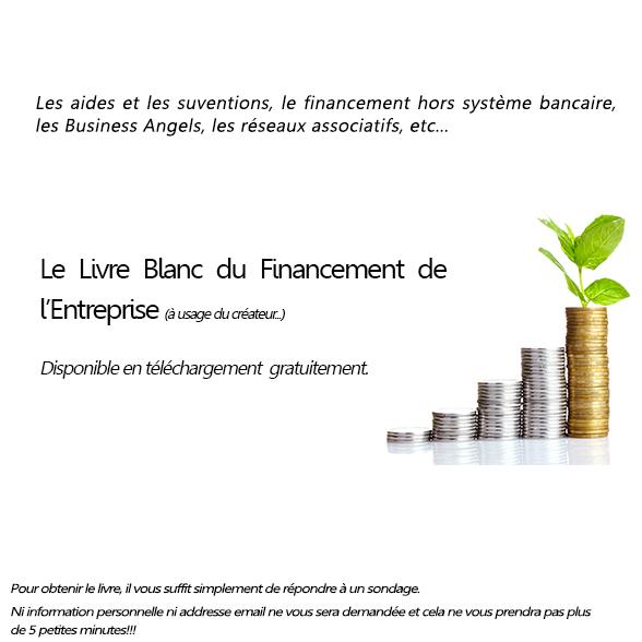 FranceInnov's tweet photo. Le Livre Blanc du Financement de l'Entreprise dispo ici urlz/Xto !!! 

S'il vous plait Retweetez!!! http://t.co/wZdzziIcYT