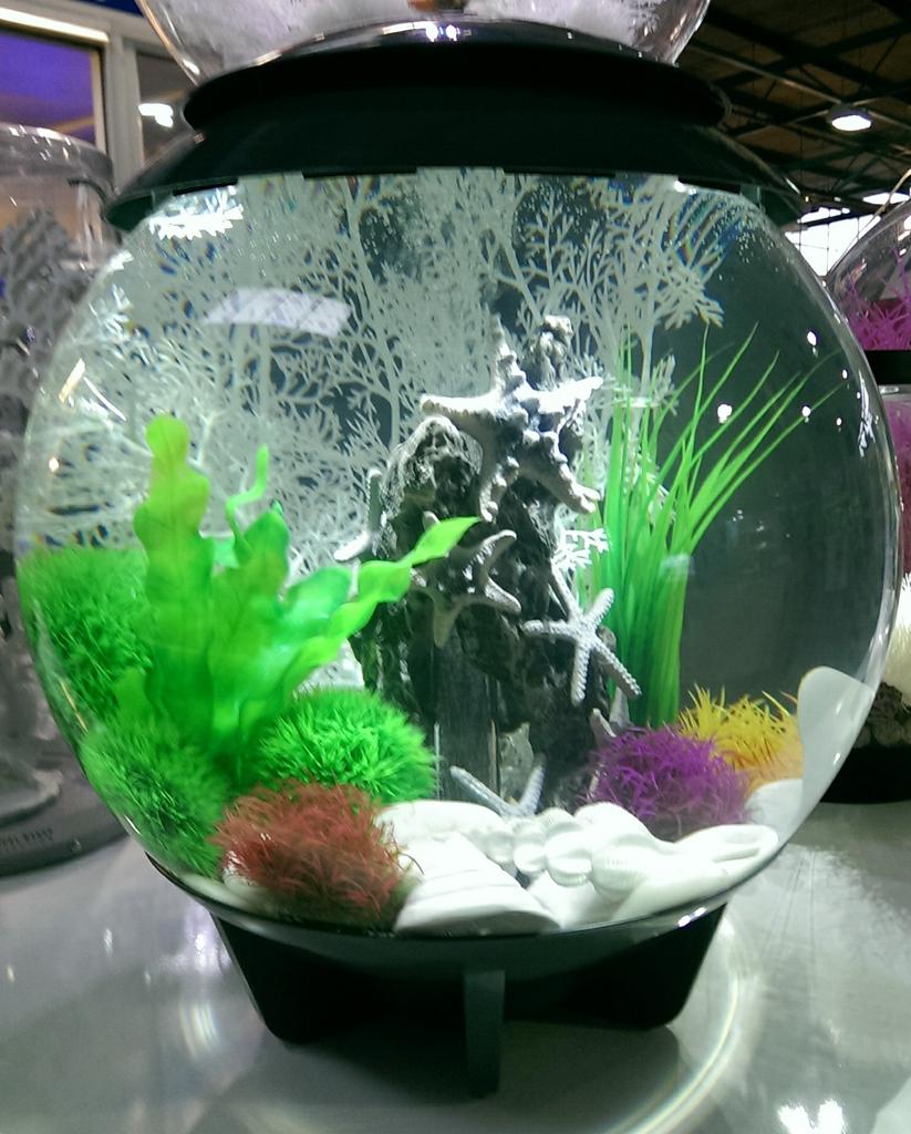 RipplesWater's tweet photo. Struggling for Christmas ideas...?! We have some amazing deals on @thebiOrbpeople aquariums in store now!!.#biOrb http://t.co/2AIAQ1h0Zh