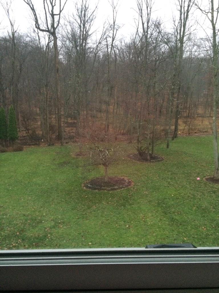 nikikellam65's tweet photo. One class down, one more to go! Soo much snow #classcancelation #winterstorm http://t.co/1HNrc3ehSK