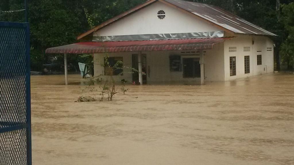 Embedded image permalink