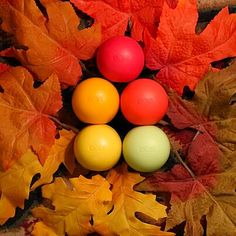 EosMarketing's tweet photo. don't forget to purchase your #autumn #eos products before it's too late! http://t.co/MFnDtvopSm