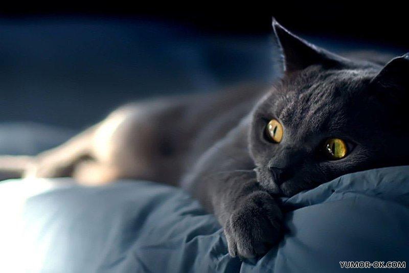 Юлия Савичева рассказала, где провела свой медовый месяц