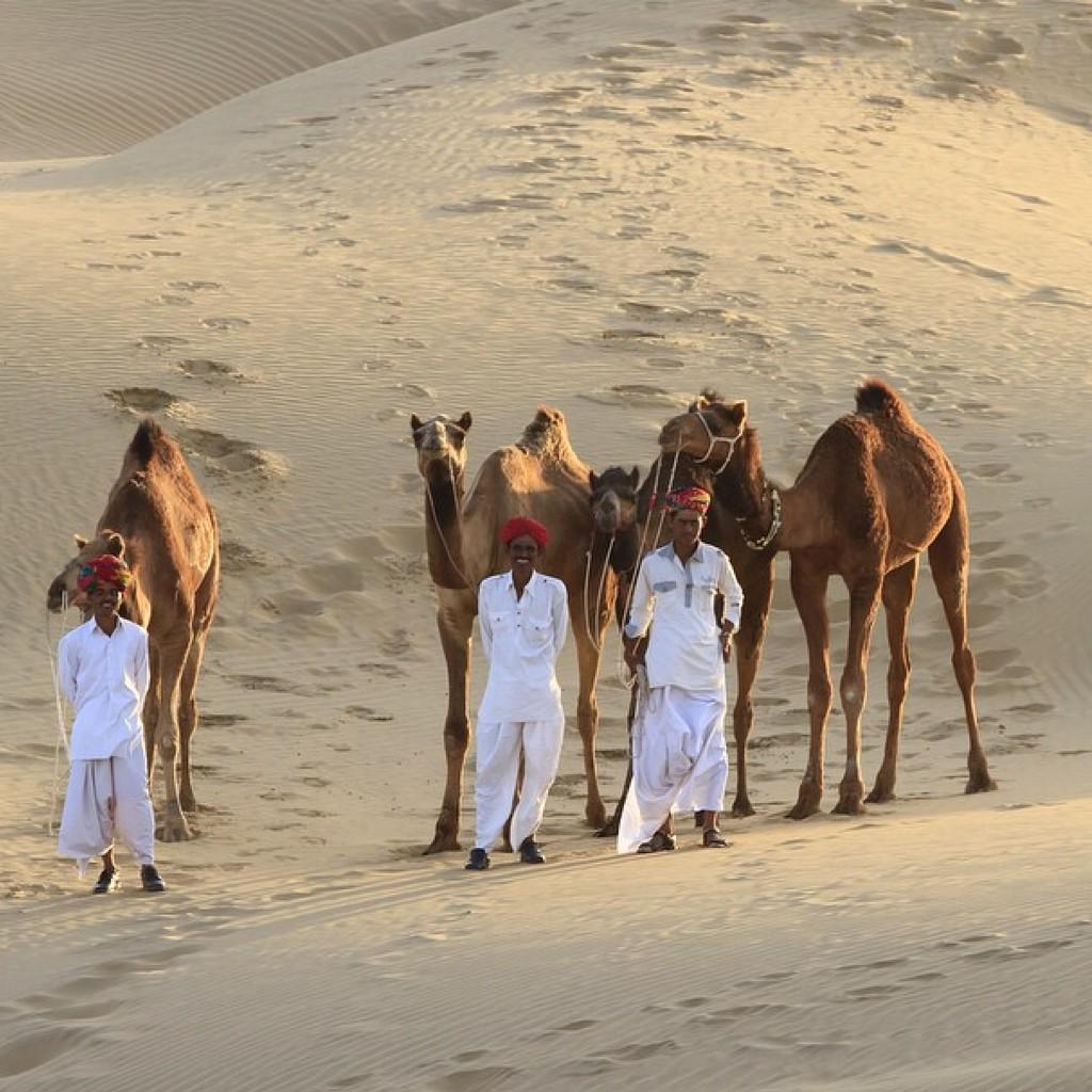 lcimcgowan's tweet photo. Trek through the Thar desert with @SUJAN_Luxury At The Seari, Jaisalmer @RelaisChateaux #ChangeWorlds #Travel http://t.co/TcnbafXM0S