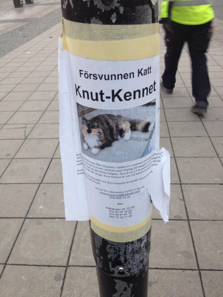 bejbmar's tweet photo. Hade fan också försvunnit om min ägare döpt mig till Knut-Kennet http://t.co/bQO5jFZTPG