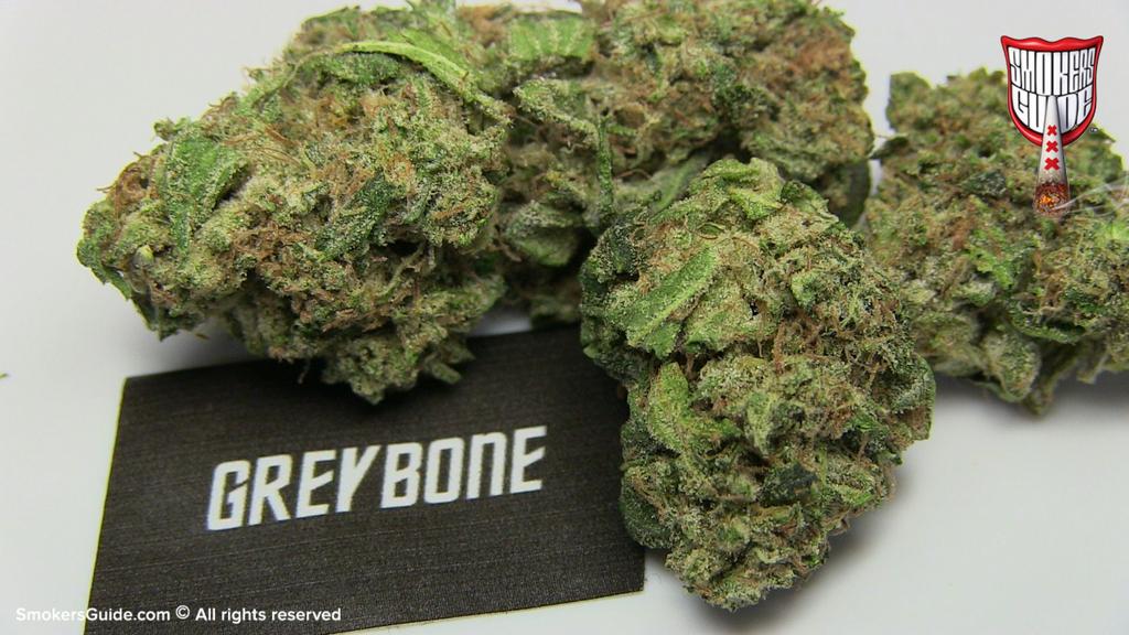 smokers_guide's tweet photo. #GreyBone #Marijuana @GreyArea420 #CannabisCup #Amsterdam #CoffeeshopReviews #WeedReview @Bushdoc420 @andrewpyrah π http://t.co/t3PZNReIqb