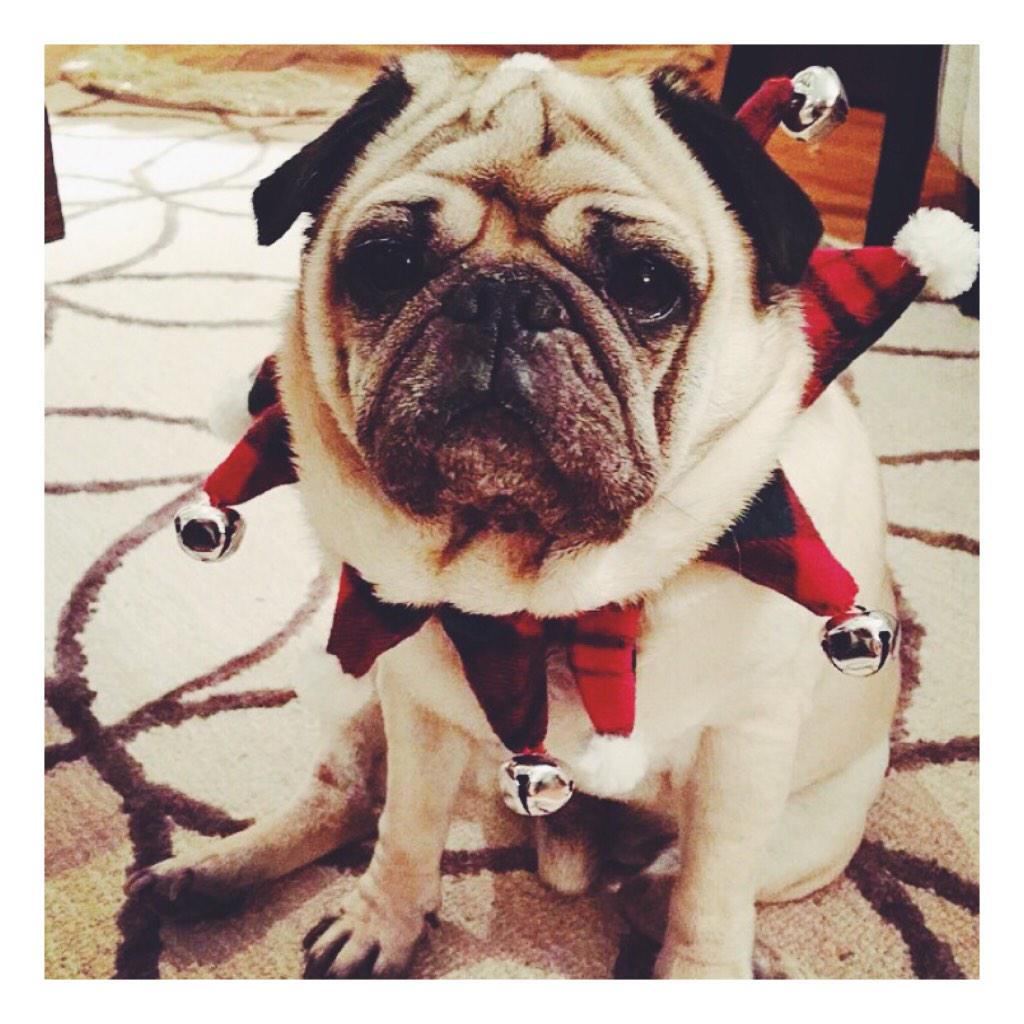 kimandcindy's tweet photo. The countdown is on!! 28 days until #christmas. What's on your wish list? #almostchristmas #countdowntochristmas http://t.co/joRRddBpTX