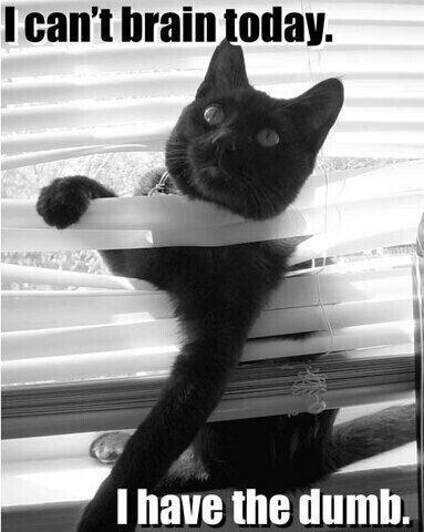 rel8ablequote's tweet image. Short attention span theatre has arrived. #holiday