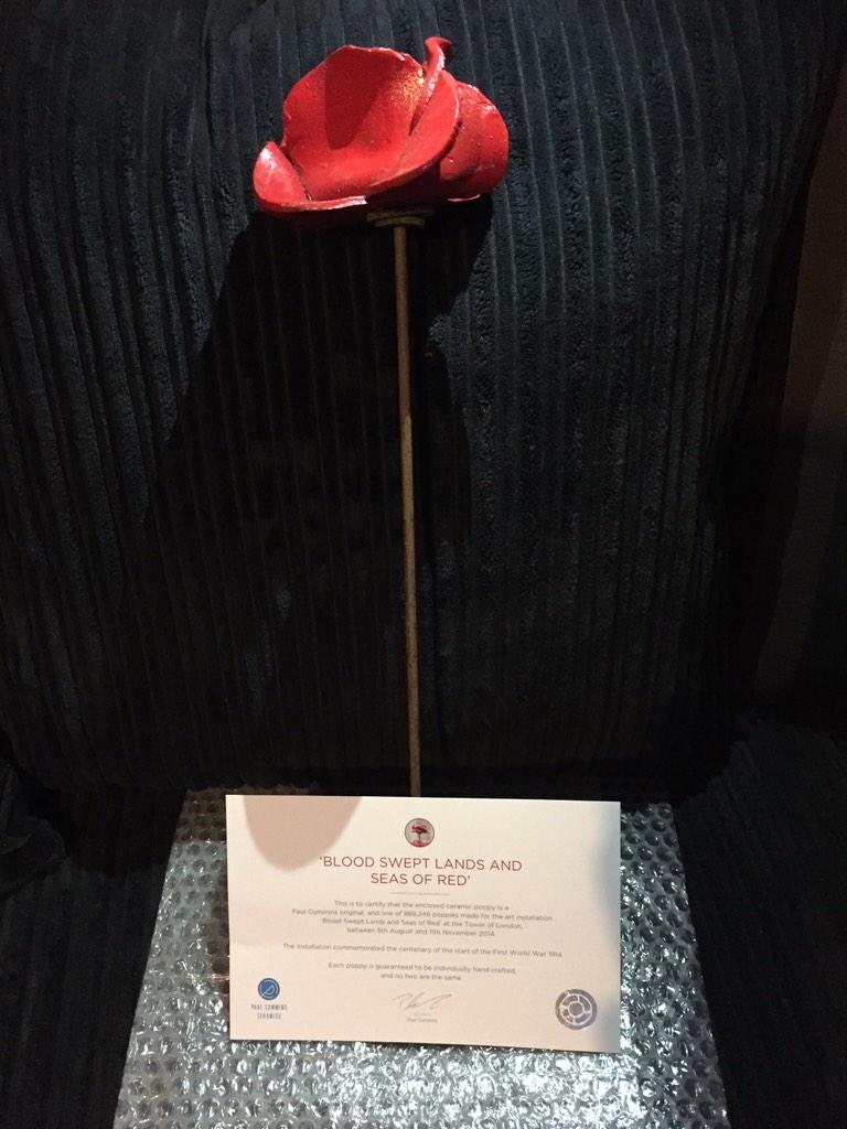 My little piece of history arrived today... We will remember them! ❤️ #MyTowerPoppy