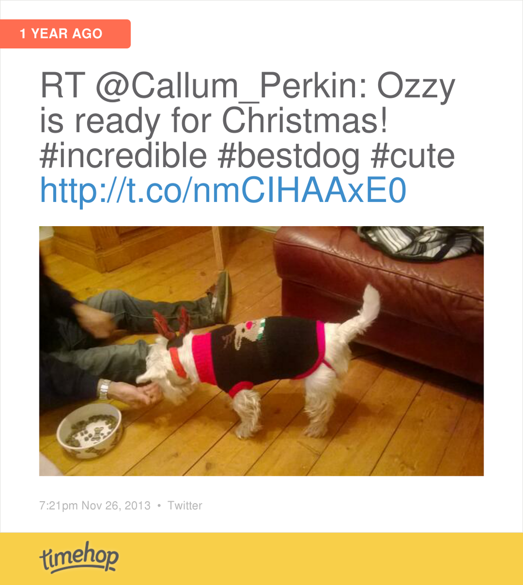 ZCollicott's tweet photo. Is he ready for Christmas this year @callum_perkin http://t.co/iVfadCERo3 http://t.co/E9fPHzhynJ