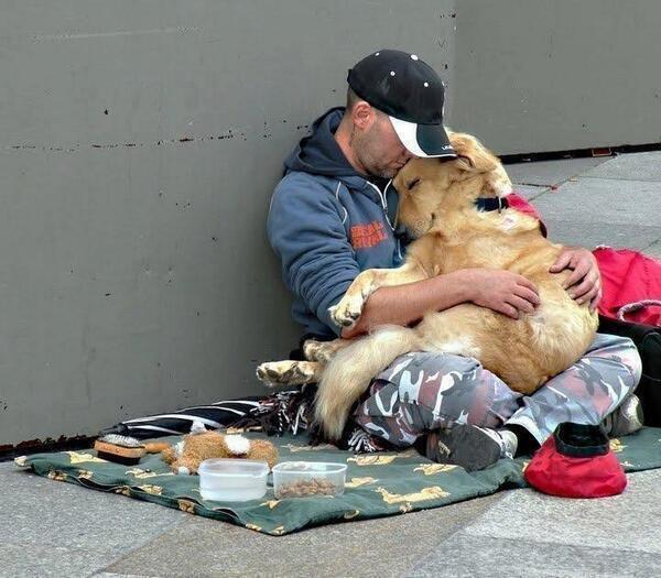 OhAnimals's tweet photo. True friends stay by your side. ^ http://t.co/YrNrah1D0H