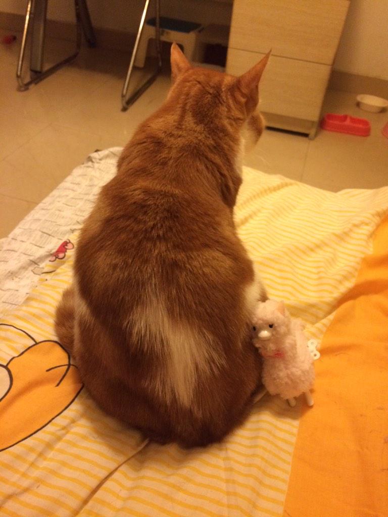 Giopee's tweet photo. 漂亮阿姨送的粉羊羊 已经咬的都是口水😂 http://t.co/BEdJe6svPF