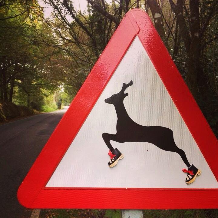 Cuidado! Levamos <a href="/eferrozocos/">Eferro</a>!