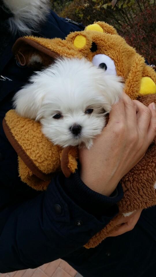 LimHyun88's tweet photo. ♡ http://t.co/juNymuhPgc