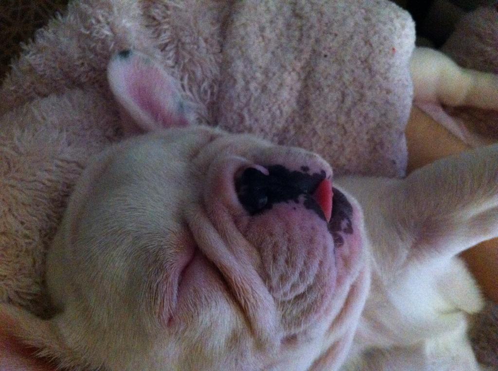Meripriti's tweet photo. Como quiero a mi cosita 😻😻 http://t.co/WS04vH66LJ