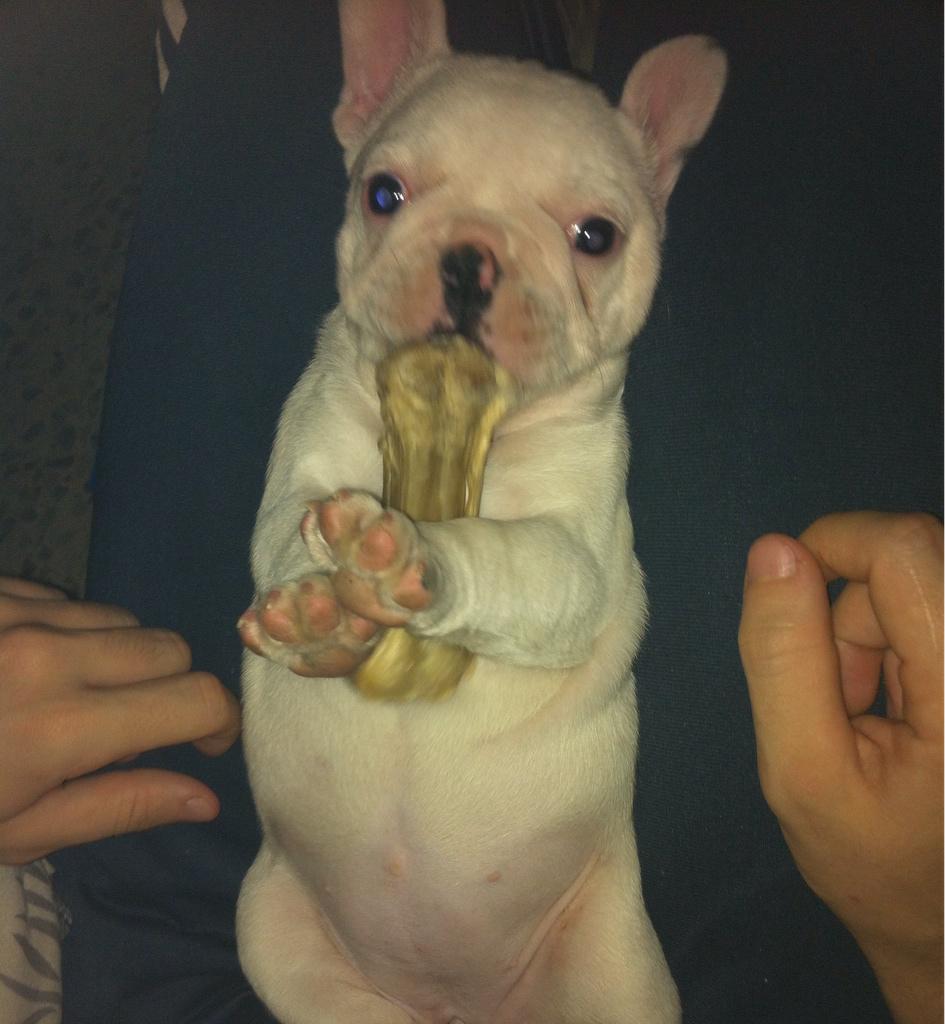 Meripriti's tweet photo. Como quiero a mi cosita 😻😻 http://t.co/WS04vH66LJ