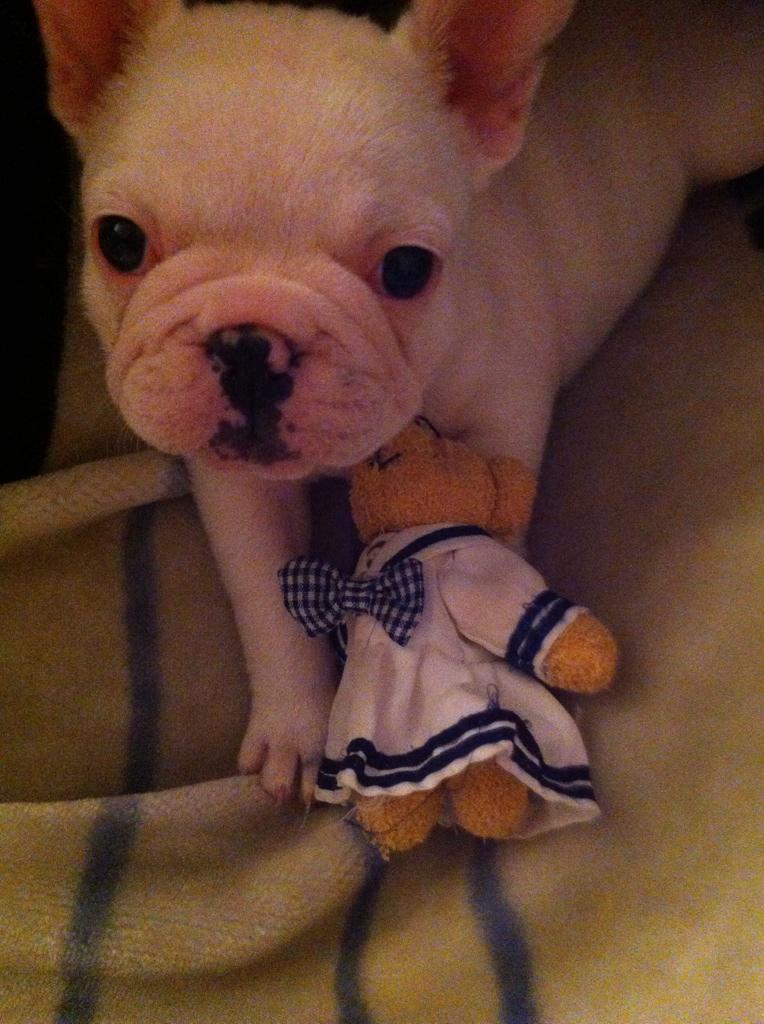 Meripriti's tweet photo. Como quiero a mi cosita 😻😻 http://t.co/WS04vH66LJ