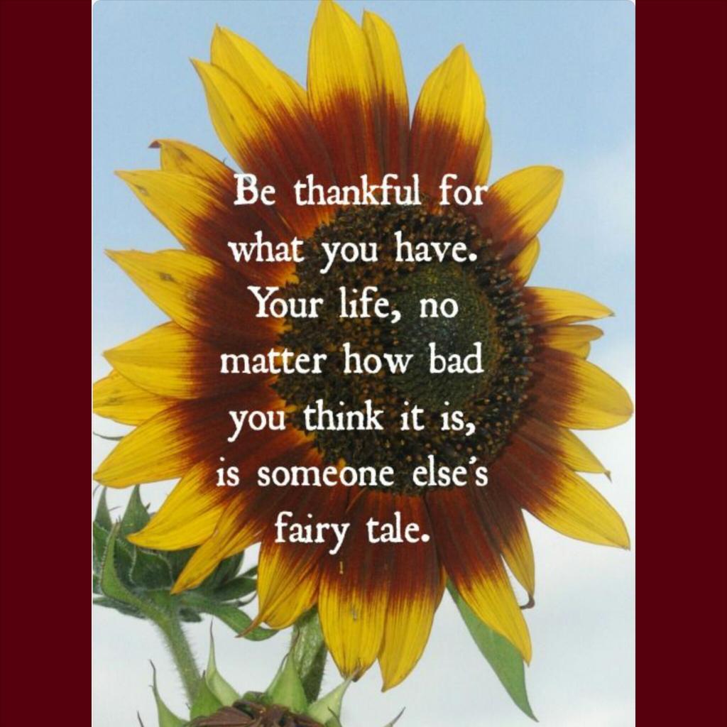 wbmspta's tweet photo. We're thankful for our WBMS family. May a spirit of gratitude be with you as you spend time with loved ones. http://t.co/AGk2b15oFL