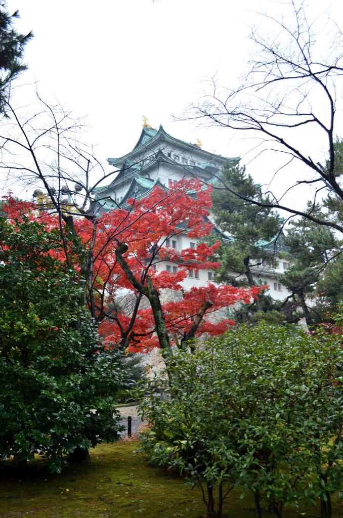 luca_abb's tweet photo. Un po' di pioggia non ha rovinato il giro mattutino al Nagoya Castle(Japan) Che si è lasciato fotografare tranquillo! http://t.co/SxkUuMgnHf