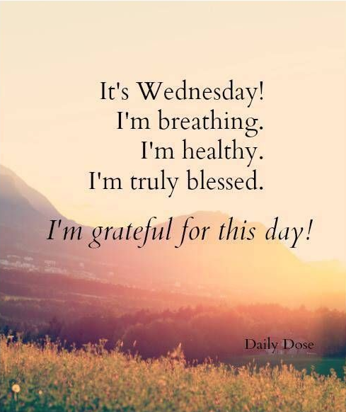 Baby_ktan_CAN's tweet photo. Everyday it´s a wonderful Day !! #HappyWednesday ;) http://t.co/ZAg5zAeNYn