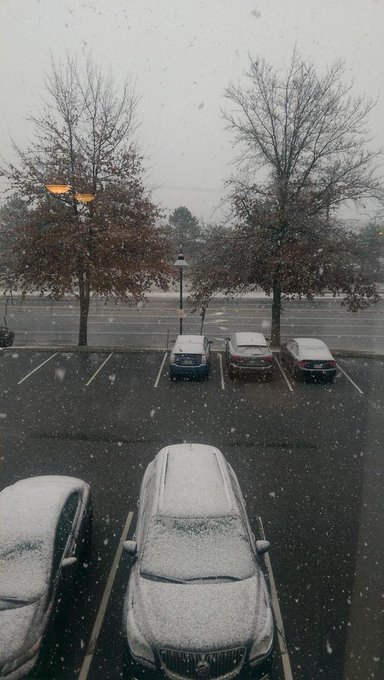 Woke up to this today.  Guess I'm not in Florida anymore. http://t.co/Ys3HFUYMDo<a href="/tag/femdom"class="tags"><span>#femdom</span></a><a href="/tag/trampling"class="tags"><span>#trampling</span></a>