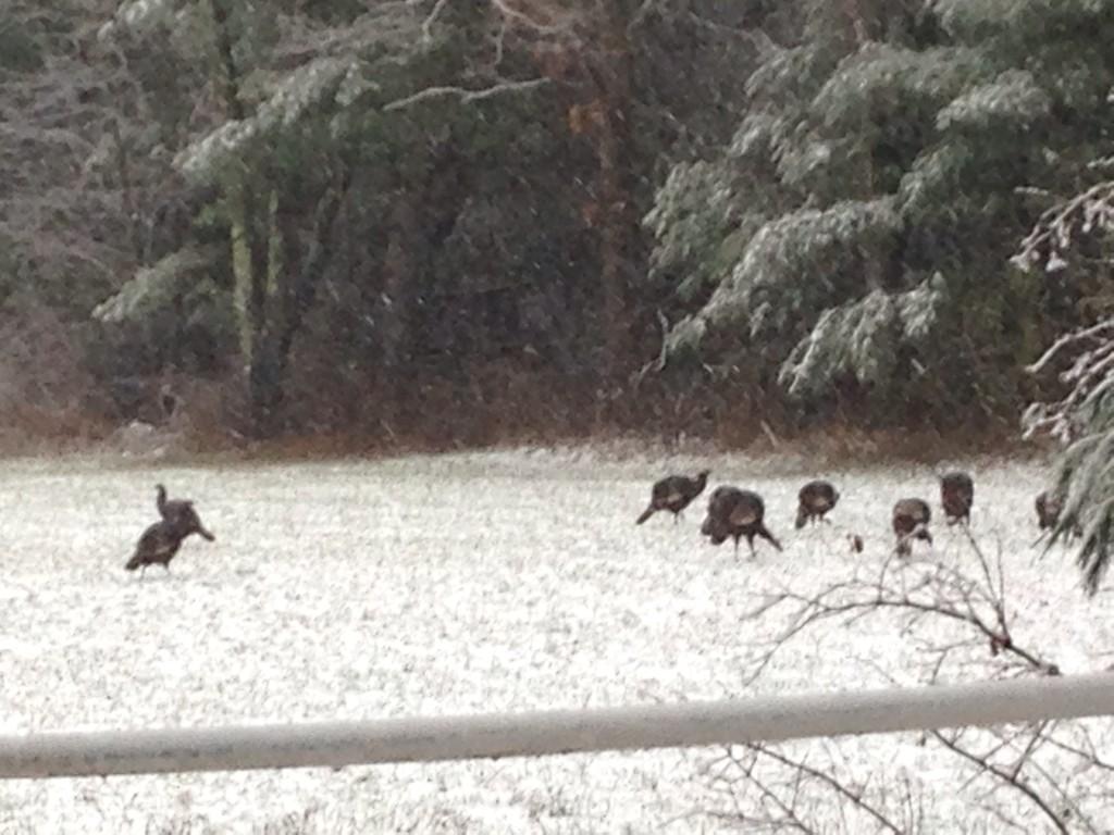 Jonathan Ruda tweet media