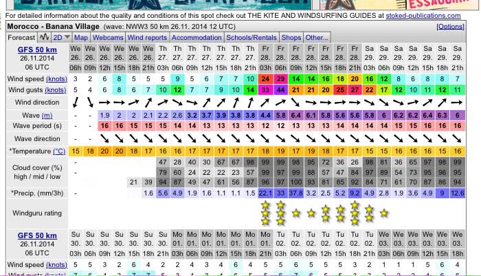 Nick Haynes tweet media