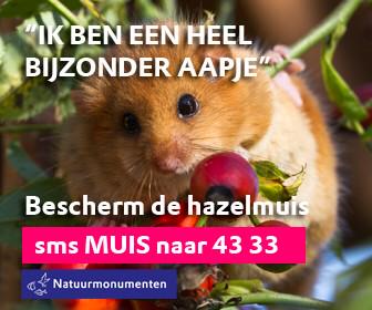 BeaujeanVac's tweet photo. Bescherm de #hazelmuis #natuurmonumenten #natuurbeleving #limburg http://t.co/hlI3PtT2ZU