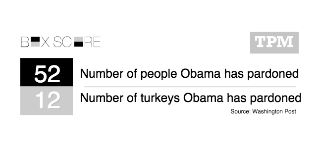 TPM's tweet photo. Happy turkey pardoning day! http://t.co/cU1PyPiJ4h