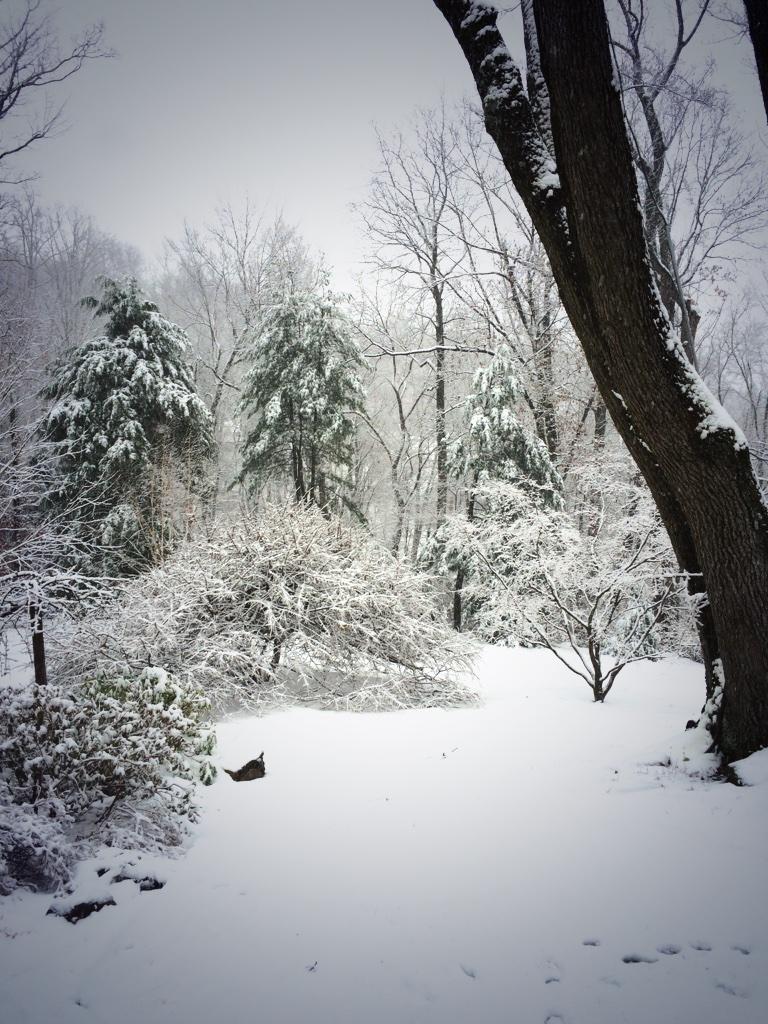 View image on Twitter View image on Twitter