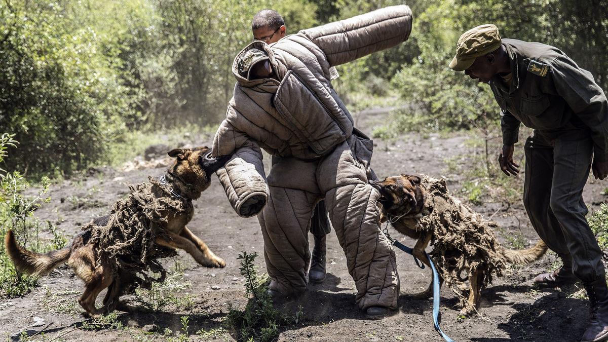 Формы нападения