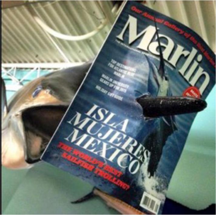 Pick it up - it's in 3D (sort of). RT: @MarlinMag Dec/Jan Issue coming for you soon!