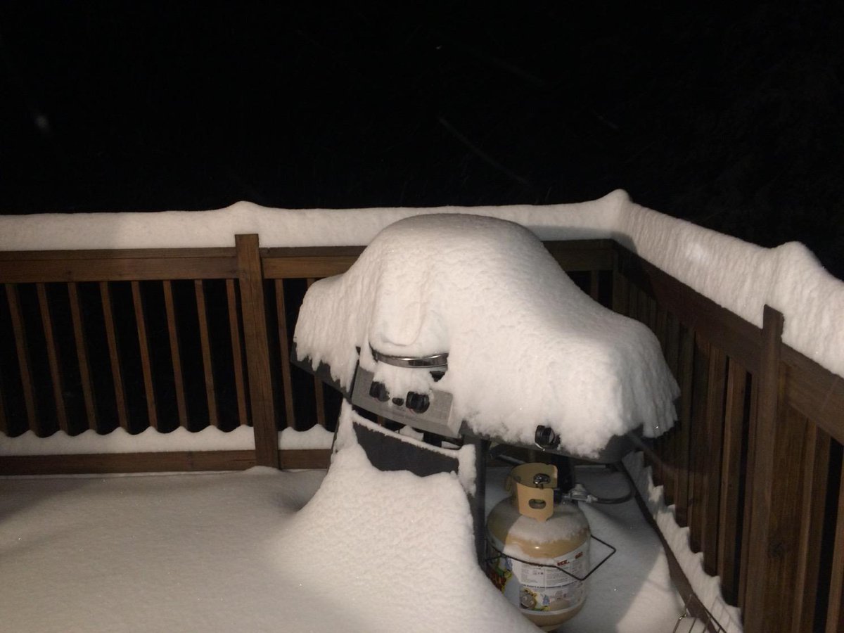 Greenmtnmeek's tweet photo. The eye ruler is reading 7-8" and still baaaaarfing. #BBQSnow http://t.co/RkE3mBnv5c