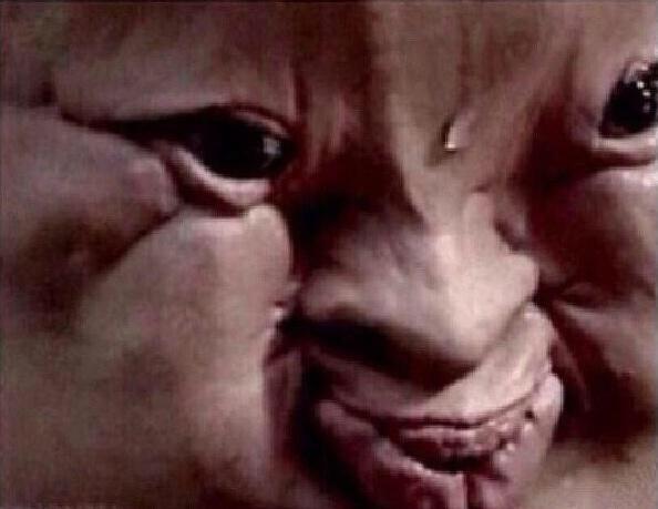 cPaigeMunroe's tweet photo. "@awkwardposts: How you look when your teacher tells you to stop laughing http://t.co/VaKT9dygRL" @BrookLedbetter7