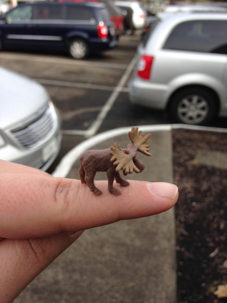 susannaciotti's tweet photo. @playWAYK I think I found my PowerBait. #tinymoose http://t.co/FGAc4YqDuw