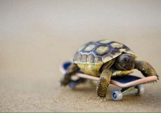 UnPerfextionist's tweet photo. RT if he has more swag than you http://t.co/K696m7mFjT
