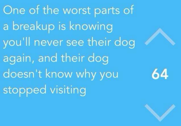 rayshazafiraa's tweet photo. “@funnyorfact: This is heartbreaking 😭 💔 http://t.co/rcLnKAyC9b”😂😂