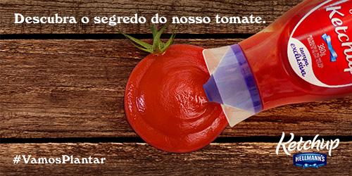 hellmannsbrasil's tweet photo. Descubra de onde vem o sabor dos tomates do verdadeiro Ketchup. #vamosplantar http://t.co/iaFMupdLBF http://t.co/GSVvWv9qKB