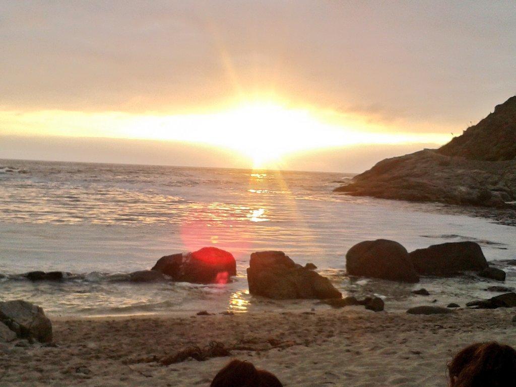 freddy duran tweet media