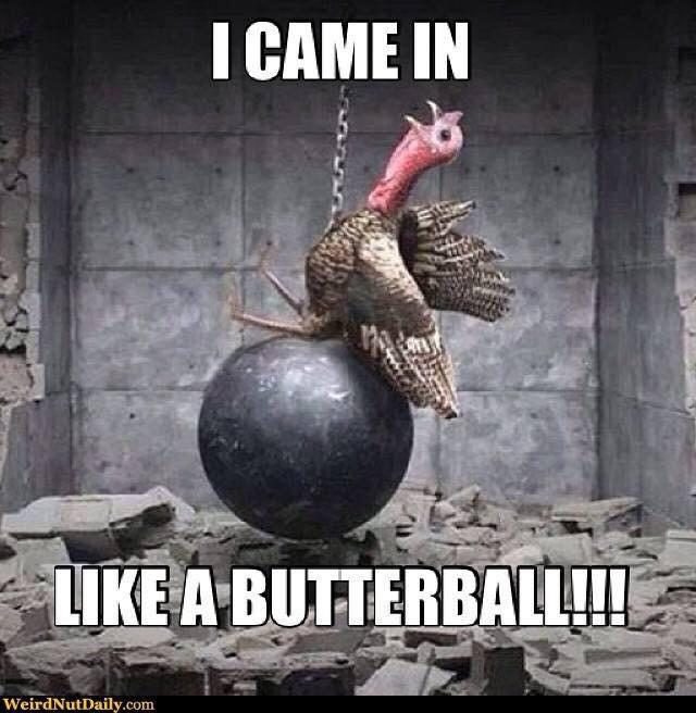 IamMrTurkey's tweet photo. ... http://t.co/6KkrmYjLGZ