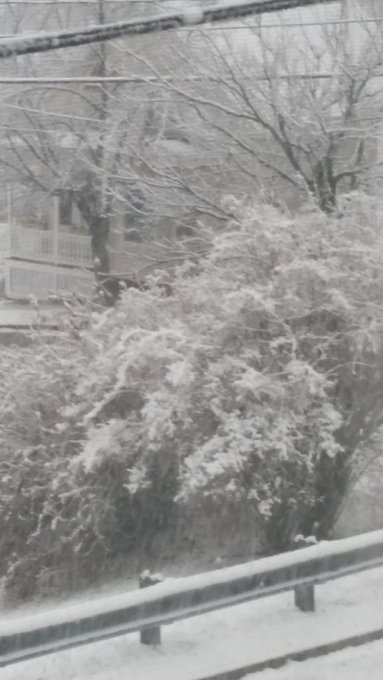 Really coming down now. http://t.co/0HHpwV4TNd<a href="/tag/mvsales"class="tags"><span>#mvsales</span></a>