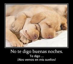 margared19's tweet image. 